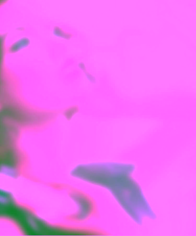Modern Muse